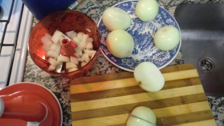 Picando cebollas